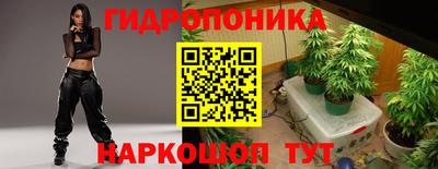 тгк Ачхой-Мартан