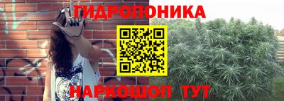 a pvp Аша