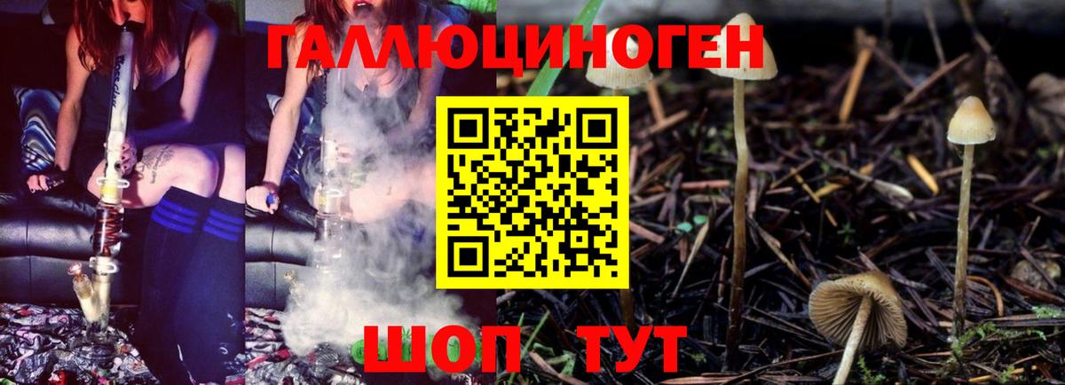 Галлюциногенные грибы MAGIC MUSHROOMS Орск