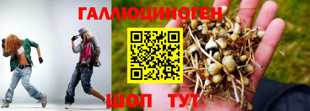 Псилоцибиновые грибы GOLDEN TEACHER  Псилоцибиновые грибы Psilocybine cubensis  Орск  Вход с VPN 